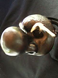 Dottore Nazo Profundo (black) - Commedia mask by Newman